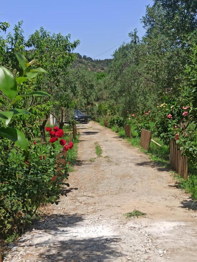 Sol'S Place Mytilene Bagian luar foto